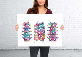 Lumbar Spine Watercolor Print Human Anatomy Art Vertebral Column Medical Art Vertebral Bones Chiropractic Skeletal System Orthopedic-1227