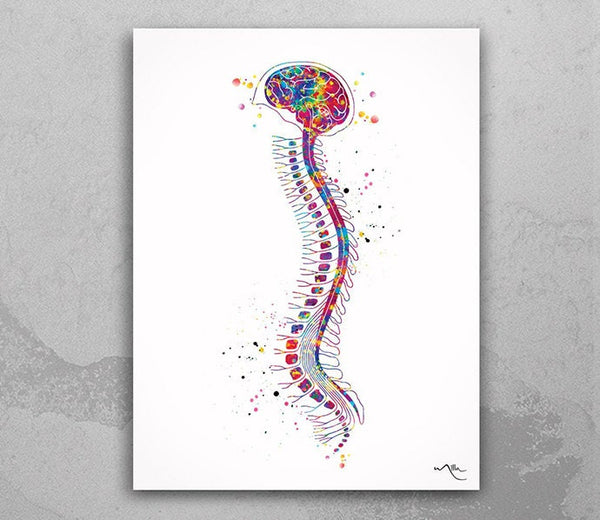 Brain with Spinal Cord Watercolor Print Anatomy Art Medical Art Medicine Skull Art Neurosurgeon Art Wall Hanging Doctor Clinic Decor-990