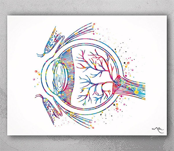 Eye Anatomy Watercolor Print Human Eye Optometrist Optician Poster Medical Art Ophthalmology Eye Ball Clinic Wall Art Decor Science Art-2466