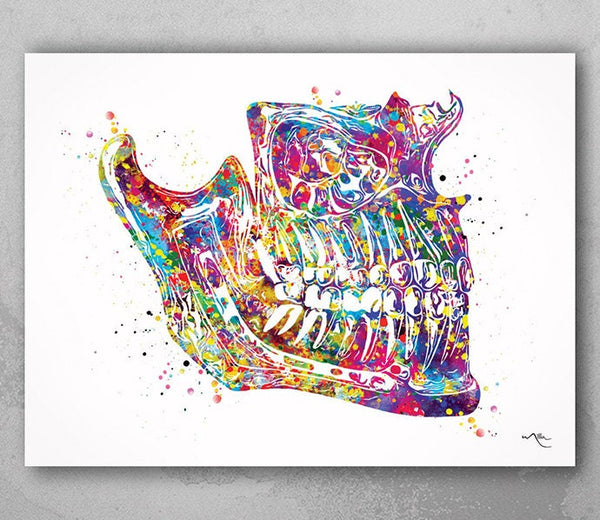 Human Jaw Anatomy Watercolor Print Orthognathic Surgery Mandible and Maxilla Medical Art Dental Art Clinic Dentistry Office Dentist Decor-97