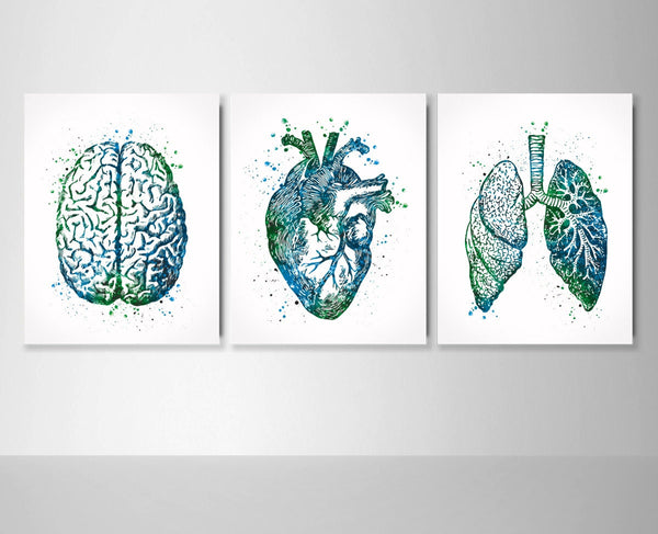 Human Brain Heart Watercolor Print Lungs Set of 3 Medicine Nurse Office Decor Anatomy Clinic Decor Science Medical Art Graduation Gift-2448