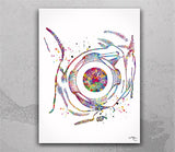 Eye Ball Watercolor Print Eyeball Optometrist Gift Optician Poster Eye Doctor Art Medical Art Ophthalmology Surgeon Eye Clinic Wall Art-1360