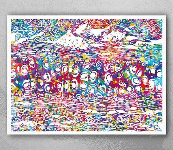 Cartilage Bone Watercolor Print Human Anatomy Medical Art Physiotherapists Chiropractic Orthopedic Art Cross Section of Human Bone-2114