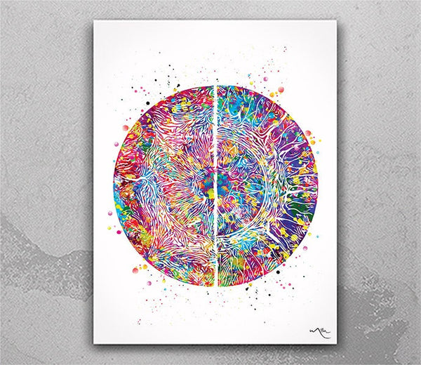 Iris Anatomy Watercolor Print Human Eye Optometrist Optician Poster Doctor Medical Art Ophthalmology Blood Vessels Clinic Wall Art Decor-368