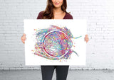 Eye Cross Section Watercolor Print Eye Anatomy Optometrist Optician Poster Medical Art Ophthalmology Eye Ball Doctor Office Wall Art-179