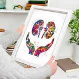 Kidney Care Watercolor Print Gastrointestinal Nephrology Clinic Decor Urologist Gift Dialysis Nurse Gift Medical Art Hemodialysis Gift-2456