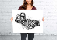 Ear Anatomy Watercolor Print Middle Ear Art Audiologist Gift Audiology Art Science Art Ear Diagram Clinic Decor Vestibule Medical Art-248