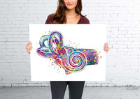 Ear Anatomy Watercolor Print Middle Ear Art Audiologist Gift Audiology Art Science Art Ear Diagram Clinic Decor Vestibule Medical Art-248