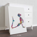 Yoga Skeleton Watercolor Print, Yoga Art, Yogi, Poster, Yoga Pose, Yoga Print, Yoga Studio, Sukhasana Pose, Yoga Wall Decor, Yoga Girl-2483