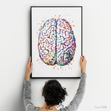 Brain Anatomy Watercolor Print Medical Art Science Art Anatomy Art Neurology Human Brain Doctor Gift Nurse Science Poster Psychological -971