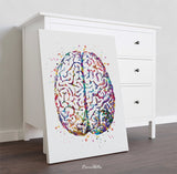 Brain Anatomy Watercolor Print Medical Art Science Art Anatomy Art Neurology Human Brain Doctor Gift Nurse Science Poster Psychological -971