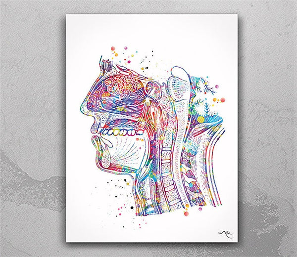 Human Head Cross Section Anatomy Watercolor Print Clinic Decor Respiratory System Dental Medical Art ENT Science Art Mouth Nose Anatomy-153