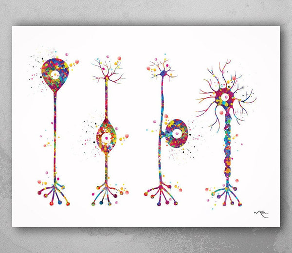 Neuron Basic Types Watercolor Print Motor Neurotransmitter Science Art Neurology Medical Art Brain Art Neuroscience Neurologist Office-161