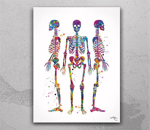 Human Skeletons Watercolor Print Human Anatomy Wall Art Poster Scicence Poster Medical Art Poster Office Decor Medical Student Gift-1241