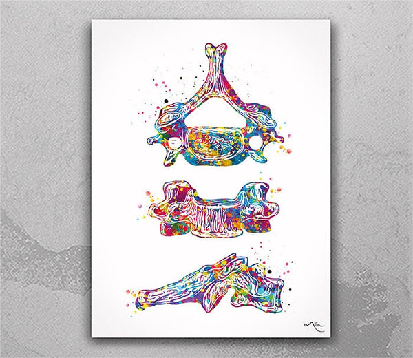 Sixth Cervical Vertebra Watercolor Print Anatomy Medical Art Vertebral Bones Clinic Medical Office Decor Skeletal System Orthopedic Art-1475