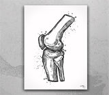 Orthopedic Art Watercolor Print Set of 3 Hip Joint Knee Shoulder Human Bone Anatomy Medical Art Physical Therapy Chiropractor Clinic-2006