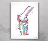 Orthopedic Art Watercolor Print Set of 3 Hip Joint Knee Shoulder Human Bone Anatomy Medical Art Physical Therapy Chiropractor Clinic-2006