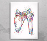 Orthopedic Art Watercolor Print Set of 3 Hip Joint Knee Shoulder Human Bone Anatomy Medical Art Physical Therapy Chiropractor Clinic-2006