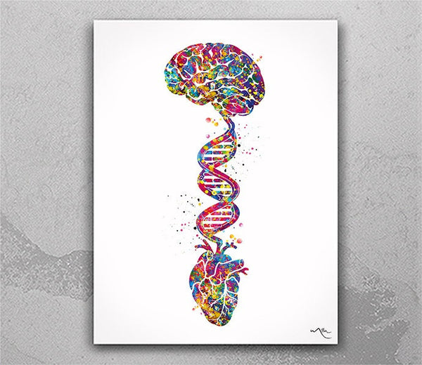 Brain Heart DNA Watercolor Print Science Wall Art Medical Art Wall Art Anatomy Clinic Decor Heart and Brain Office Decor Wall Hanging-444