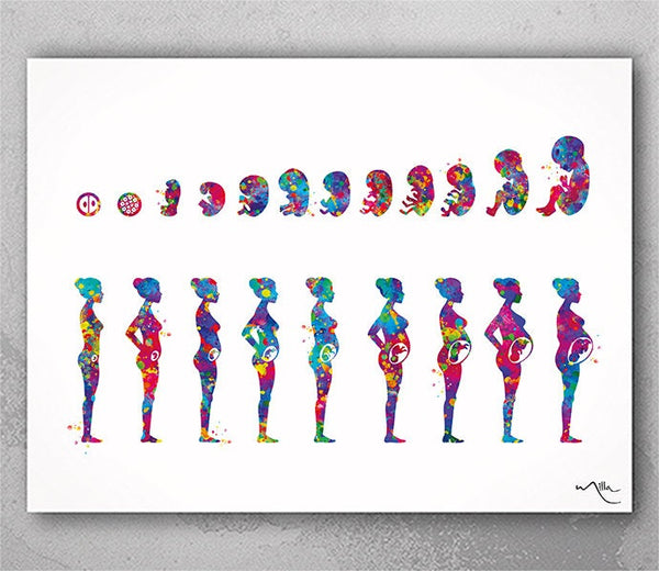 Pregnancy Stages Watercolor Print Embryo Development Fetus Medical Art Nursing Gift Fetal Development Gynecology Obstetrics Art OBGYN-1102