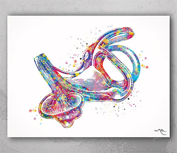 Labyrinth of Inner Ear Watercolor Print Audiologist Gift Audiology Poster Ear Diagram Anatomical Office Decor Medical Art Histology Art-1639