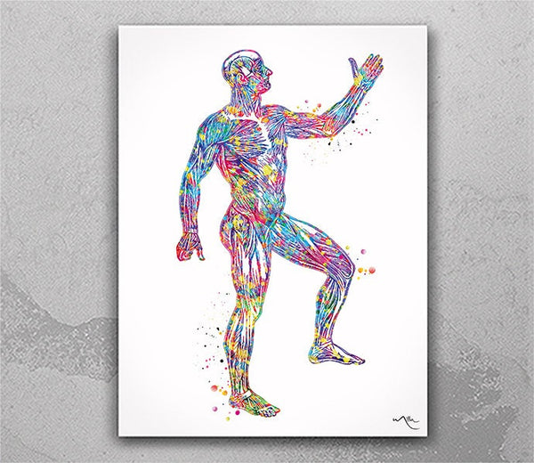 Muscular System Anatomy Watercolor Print Orthopedic Knee Ankle and Foot Physiotherapists Office Decor Medical Art Chiropractic Clinic -2245