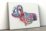 Ear Anatomy Watercolor Print Middle Ear Art Audiologist Gift Audiology Art Science Art Ear Diagram Clinic Decor Vestibule Medical Art-248