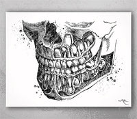 Orthognathic Anatomy Watercolor Print Teeth Anatomy Art Medical Cabinet Office Dental Clinic Art Dentistry Surgery Dentist Mandible Art-194