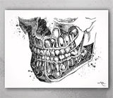 Orthognathic Anatomy Watercolor Print Teeth Anatomy Art Medical Cabinet Office Dental Clinic Art Dentistry Surgery Dentist Mandible Art-194