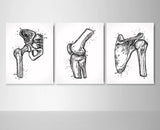 Orthopedic Art Watercolor Print Set of 3 Hip Joint Knee Shoulder Human Bone Anatomy Medical Art Physical Therapy Chiropractor Clinic-2006