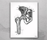 Orthopedic Art Watercolor Print Set of 3 Hip Joint Knee Shoulder Human Bone Anatomy Medical Art Physical Therapy Chiropractor Clinic-2006