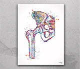 Orthopedic Art Watercolor Print Set of 3 Hip Joint Knee Shoulder Human Bone Anatomy Medical Art Physical Therapy Chiropractor Clinic-2006