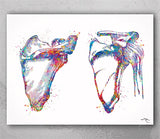 Scapula and Clavicle Shoulder Bones Watercolor Print Human Body Anatomy Medical Art Physiotherapists Chiropractic Skeletal Orthopedic-439