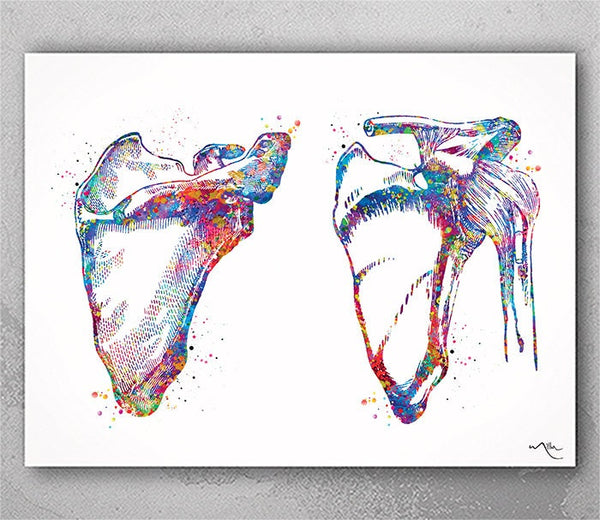 Scapula and Clavicle Shoulder Bones Watercolor Print Human Body Anatomy Medical Art Physiotherapists Chiropractic Skeletal Orthopedic-439