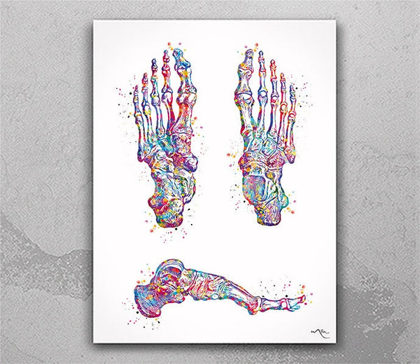 Foot Bones Watercolor Print Skeletal Feet Bone Medical Art Science Art Orthopedic Office Clinic Art Poster Skeleton Print Clinic Decor-707