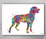 Swiss Mountain Dog Watercolor Print Greater Swiss Mountain Dog Personelized Memorial Gift Pet Berner Dog Doglover Gift Pet Animal Art-1595