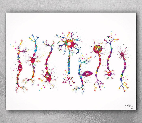 Neuron Types Art Watercolor Print Science Poster Neurology Medical Art Brain Graduation Neuroscience Neurologist Office Clinic Decor-380