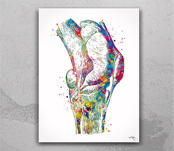 Knee Anatomy Art Watercolor Print Orthopedic Surgeon Gift Physiotherapists Office Decor Medical Art Chiropractic Clinic Poster -1363