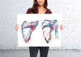 Scapula and Clavicle Shoulder Bones Watercolor Print Human Body Anatomy Medical Art Physiotherapists Chiropractic Skeletal Orthopedic-439