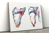 Scapula and Clavicle Shoulder Bones Watercolor Print Human Body Anatomy Medical Art Physiotherapists Chiropractic Skeletal Orthopedic-439