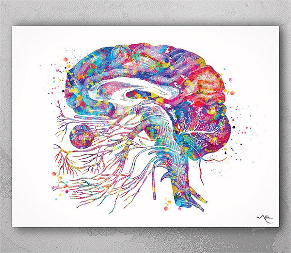 Brain Cranial Nerves Watercolor Print Medical Art Cabinet Neurologist Office Wall Art Neurology Human Brain Neuroscience Wall Hanging-173