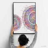 Cross Section of Human Hair Watercolor Print Skin Histology Dermatology Art Medical Art Dermatologist Gift Clinic Decor Hair Cell Art-1153