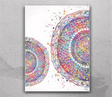 Cross Section of Human Hair Watercolor Print Skin Histology Dermatology Art Medical Art Dermatologist Gift Clinic Decor Hair Cell Art-1153