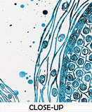 Cross Section of Human Hair Watercolor Print Skin Histology Dermatology Art Medical Art Dermatologist Gift Clinic Decor Hair Cell Art-1153