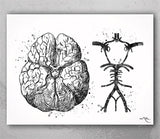 Circle Of Willis Watercolor Print Arteries Brain Medical Art Neurologist Office Wall Art Neurology Cerebral Neuroscience Wall Hanging-362