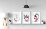 ENT Doctor Ear Nose Throat Watercolor Print Student Graduation Doctor Art Clinic Decor Doctor Medical Art Medical Office Surgery Doctor-84