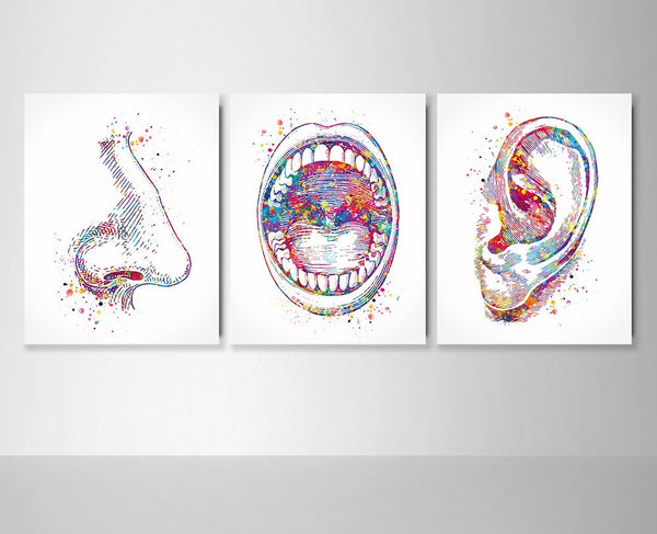 ENT Doctor Ear Nose Throat Watercolor Print Student Graduation Doctor Art Clinic Decor Doctor Medical Art Medical Office Surgery Doctor-84