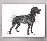 Swiss Mountain Dog Watercolor Print Greater Swiss Mountain Dog Personelized Memorial Gift Pet Berner Dog Doglover Gift Pet Animal Art-1595