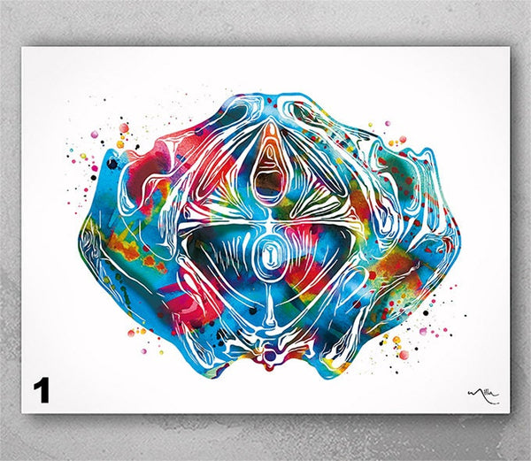 Pelvic Floor Anatomy Watercolor Print Obstetric Doctor Obstetrician Nursing Midwife OBGYN Decor Clinic Doctor Gift Physiotherapist-2648