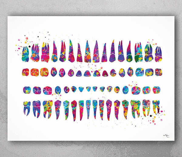 Orthodontic Chart Watercolor Print Tooth Chart Anatomical Dental Art Clinic Decor Art Dentistry Student Teeth Dentist Doctor Office Art-1277